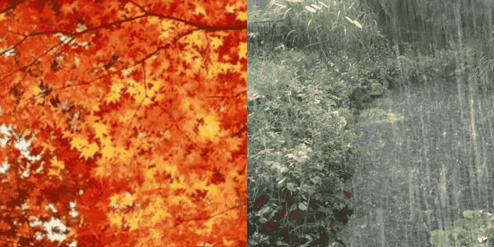 Fall and rainy season